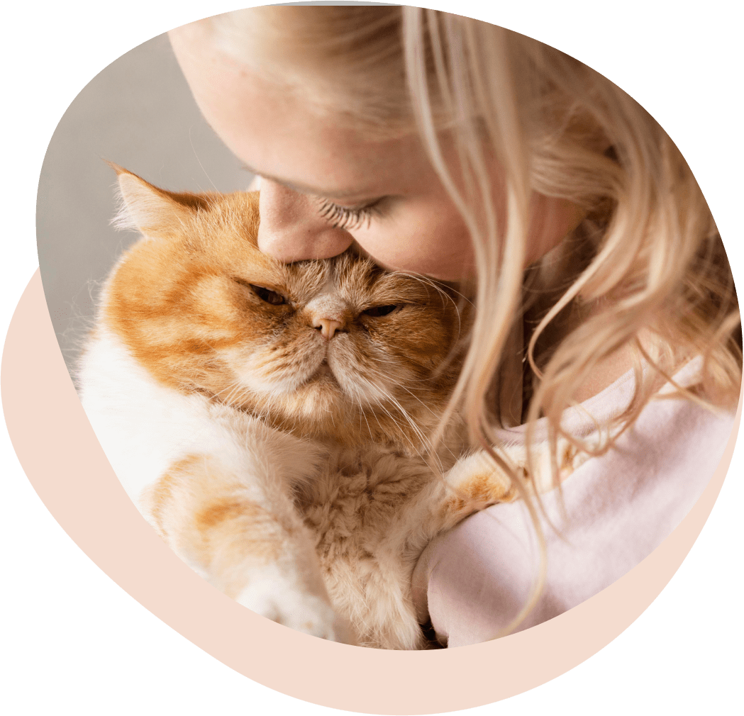 about us and fluffy space