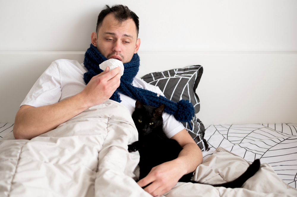 can cats get colds from humans